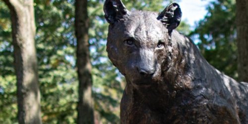 Pitt Bradford panther statue